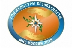 Год культуры безопасности эмблема